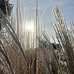 아파트 Selten Wasserblick - Tolle Unter 500m Zur Ostsee Kajuete 12 *