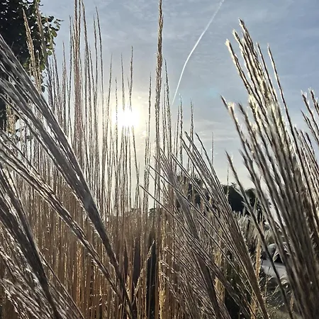 Apartmán Neu Apartmenthaus-usedom Famstopp Kajuete 12 - Wasserblick *
